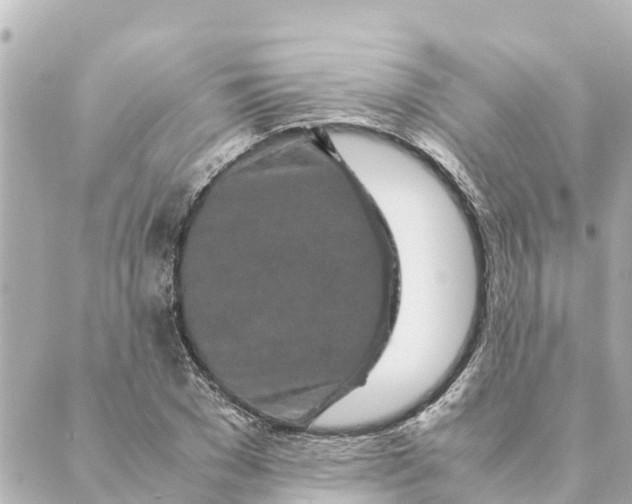 X0000088620977200706221451