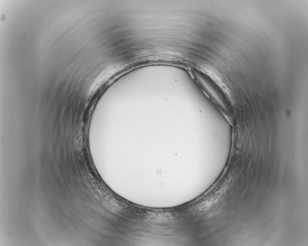 X0000088620978200706221451