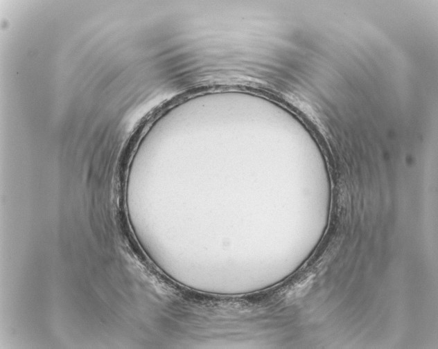 X0000088620979200706221451