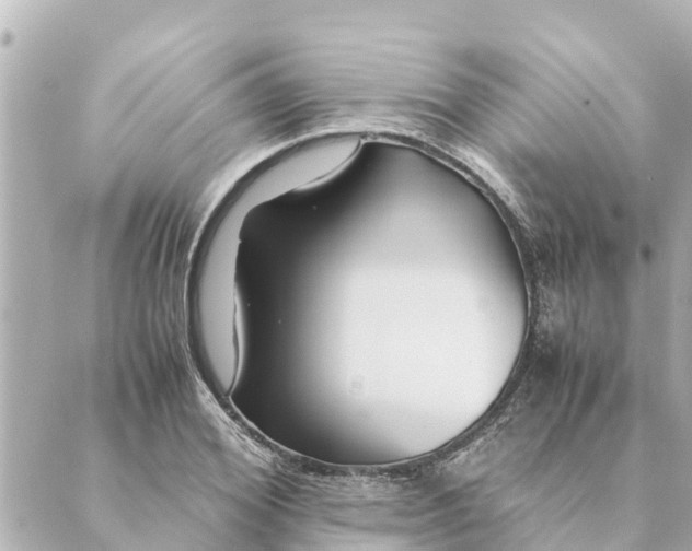 X0000088620980200706221451