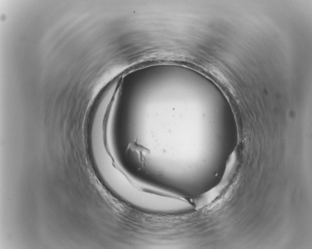 X0000088620981200706221451