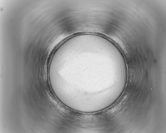 X0000088620982200706221451