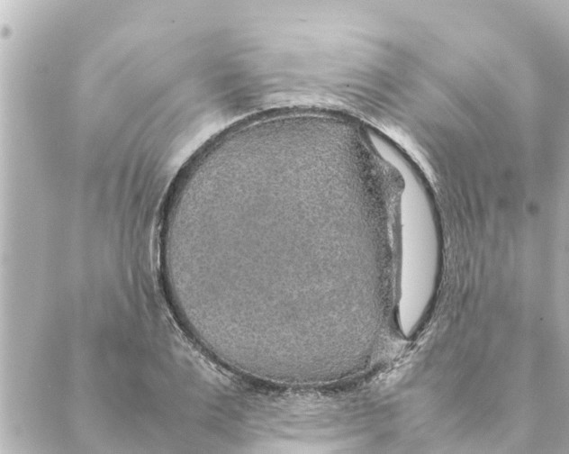 X0000088620983200706221451