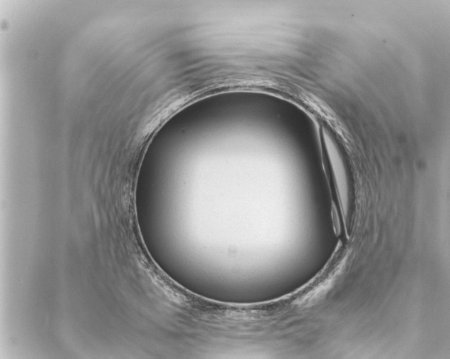 X0000088620985200706221451