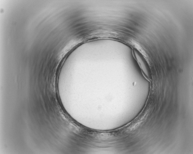 X0000088620986200706221451