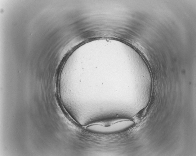 X0000088620987200706221451