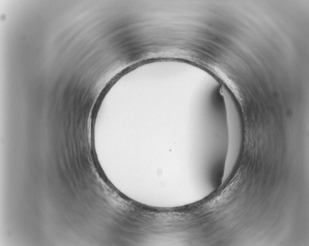 X0000088620988200706221451