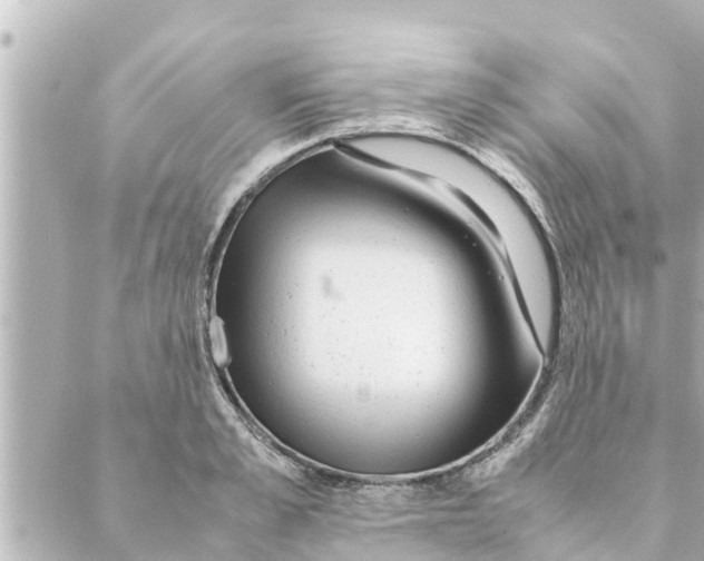 X0000088620989200706221451