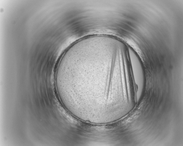 X0000088620990200706221451