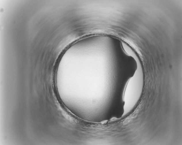 X0000088620991200706221451