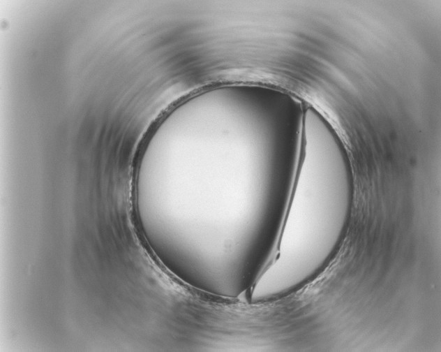 X0000088620992200706221451