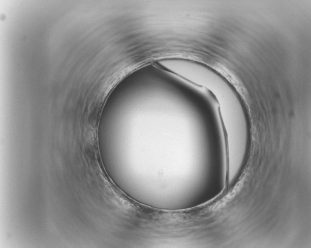 X0000088620993200706221451