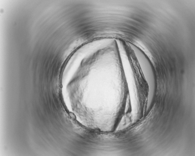 X0000088620994200706221451