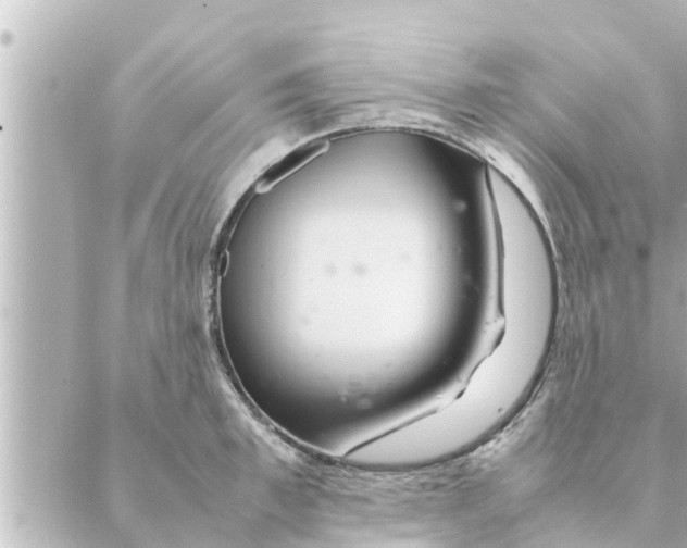 X0000088620997200706221451