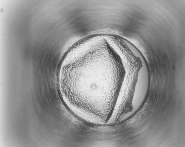 X0000088620998200706221451