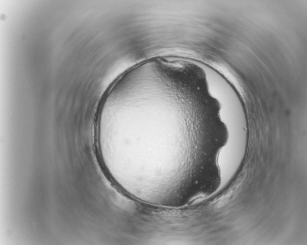 X0000088620999200706221451