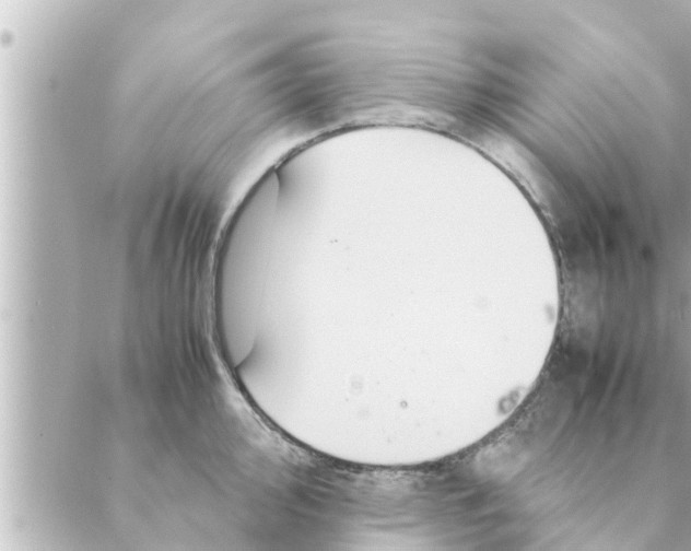 X0000088621000200706221451