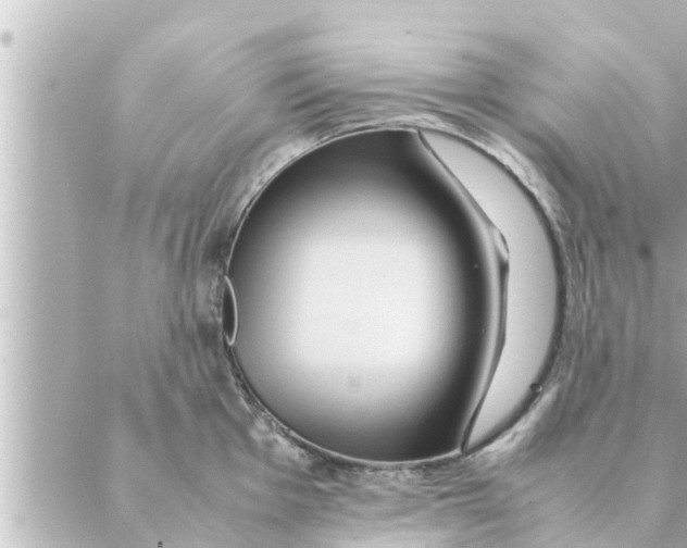 X0000088621001200706221451