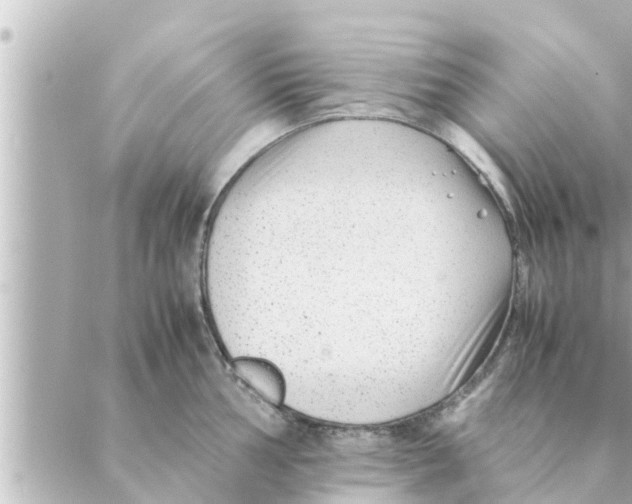 X0000088621002200706221451