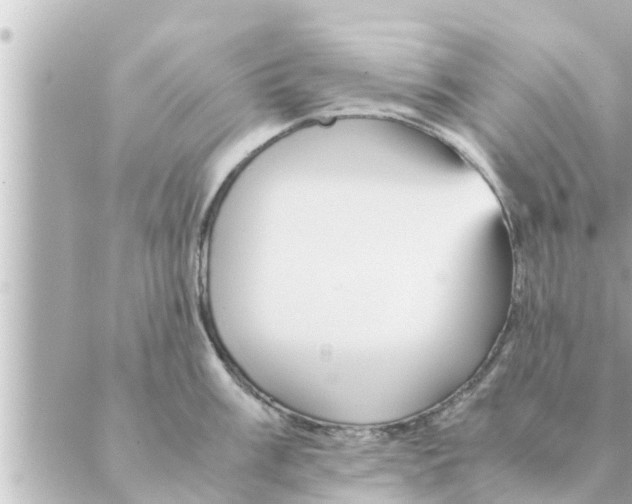 X0000088621003200706221451