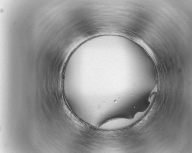 X0000088621004200706221451