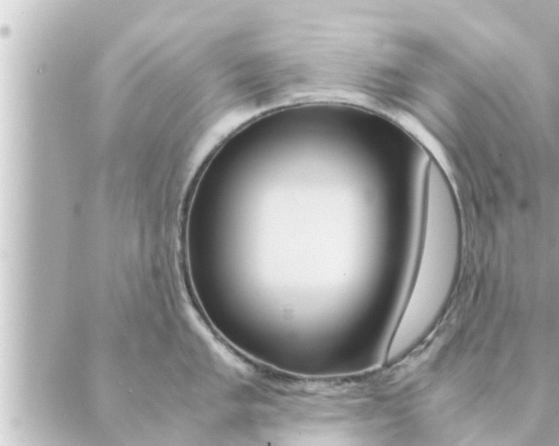 X0000088621005200706221451