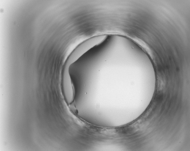 X0000088621006200706221451