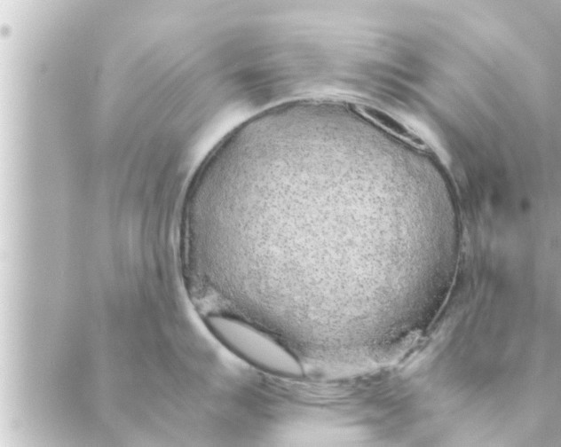 X0000088621007200706221451