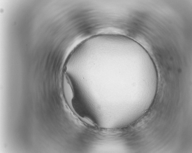 X0000088621008200706221451