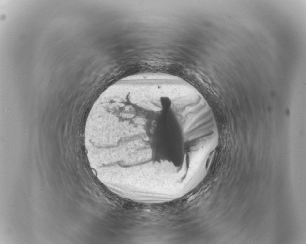 X0000088621009200706221450