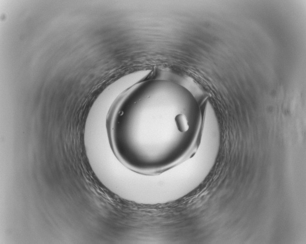 X0000088621010200706221450