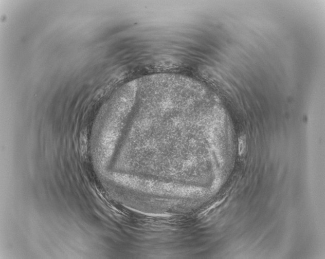 X0000088621011200706221450