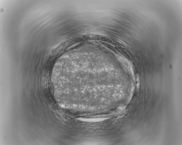 X0000088621014200706221450