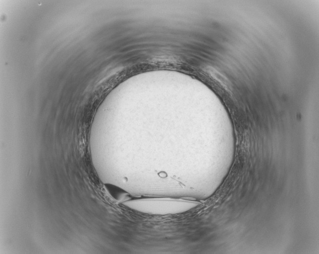 X0000088621015200706221450