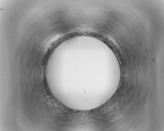 X0000088621016200706221450