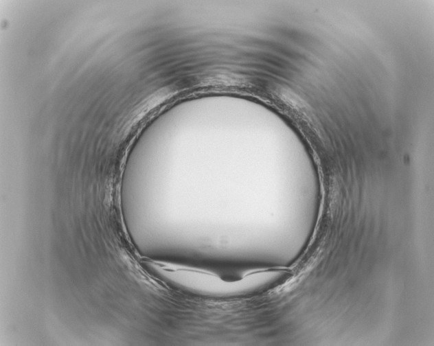 X0000088621017200706221450