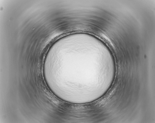 X0000088621019200706221450