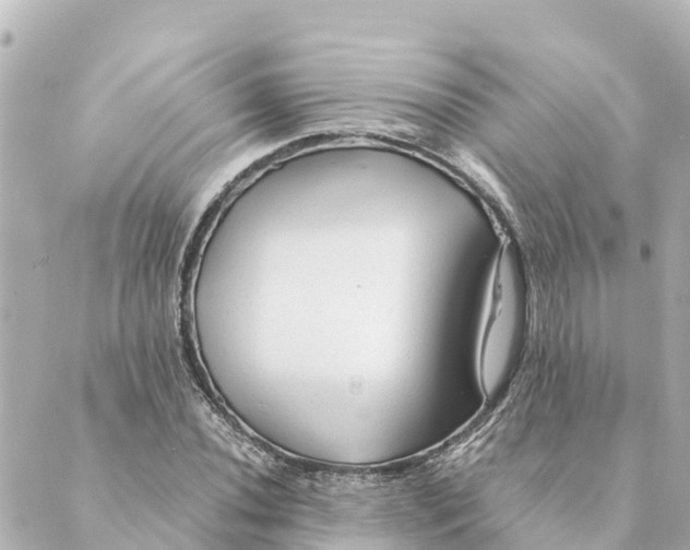 X0000088621020200706221450