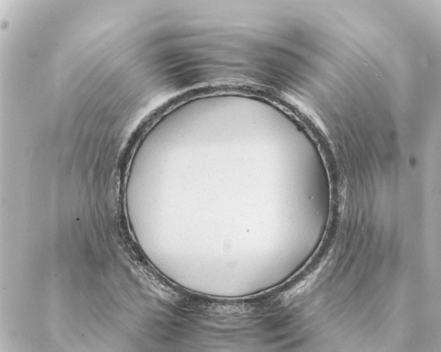 X0000088621021200706221450