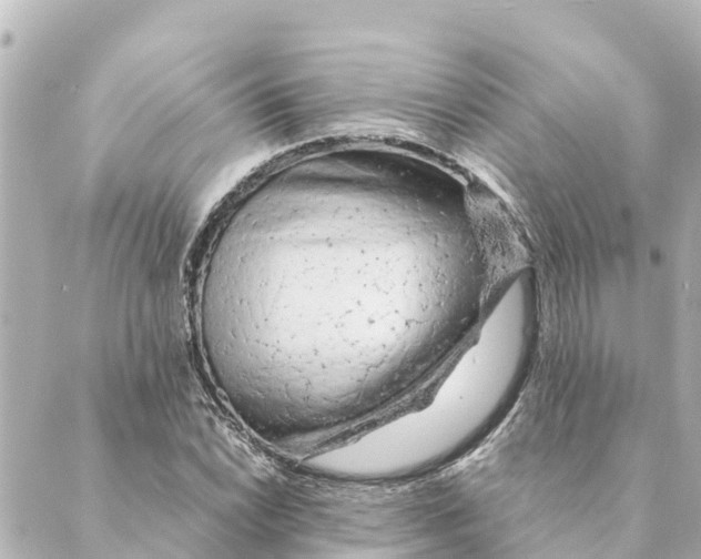 X0000088621022200706221450