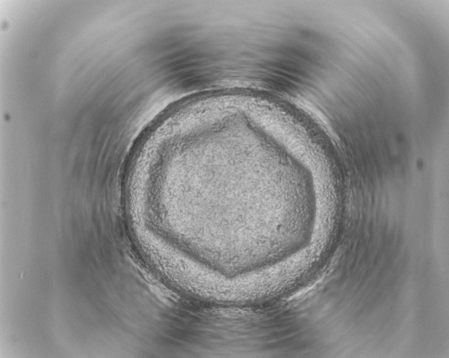 X0000088621023200706221450