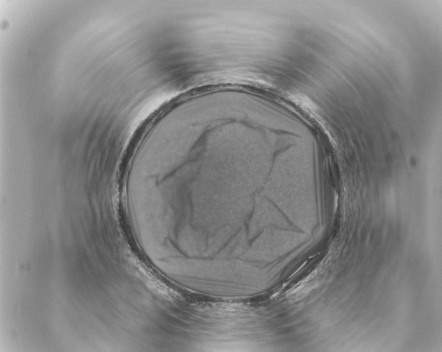 X0000088621024200706221450