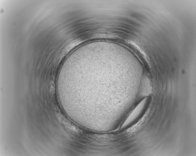 X0000088621025200706221450