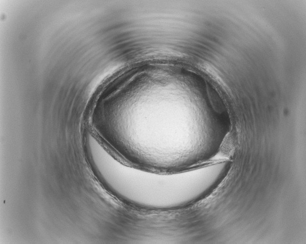 X0000088621026200706221450