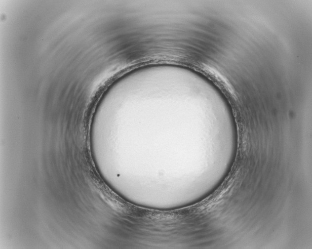 X0000088621027200706221450