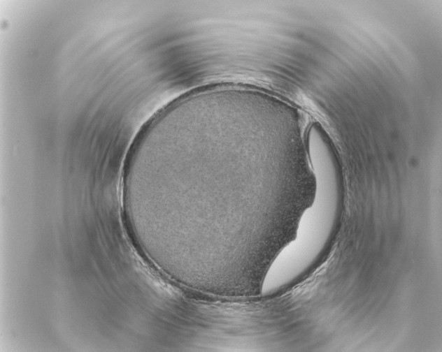 X0000088621028200706221450