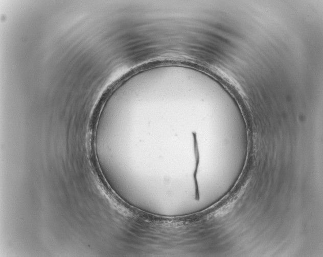 X0000088621029200706221450