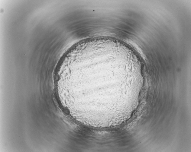 X0000088621031200706221450