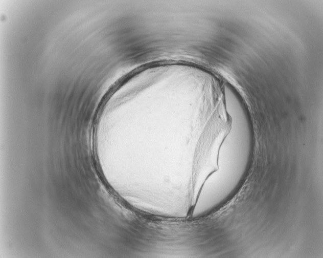 X0000088621032200706221450