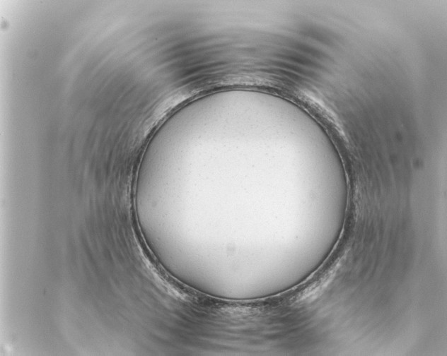 X0000088621033200706221450